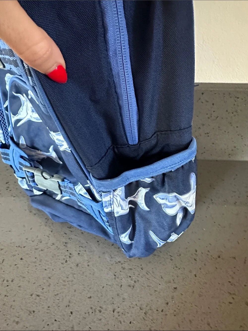 Pottery Barn Kids playful shark